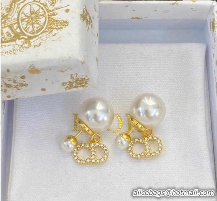 Purchase Duplicate Dior Earrings CE9410