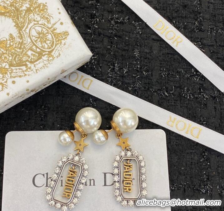 Market Sells Dior Earrings CE9412