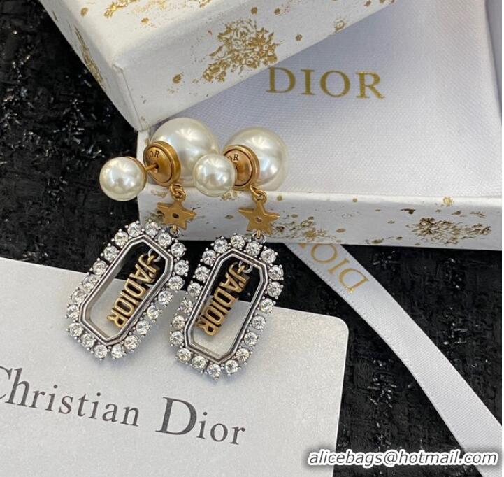 Market Sells Dior Earrings CE9412