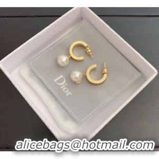 Popular Style Dior Earrings CE9442