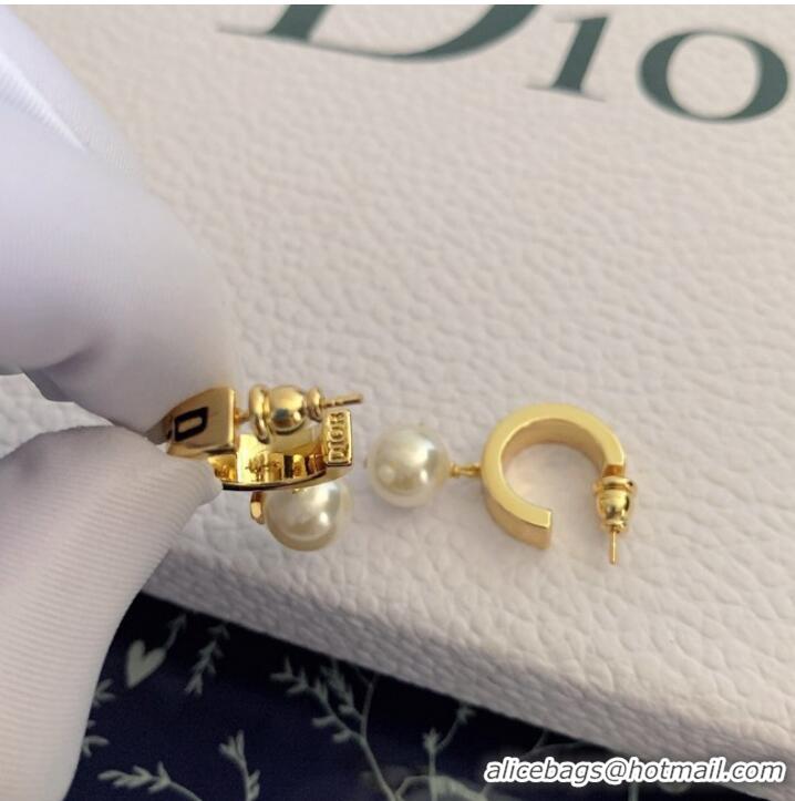 Popular Style Dior Earrings CE9442