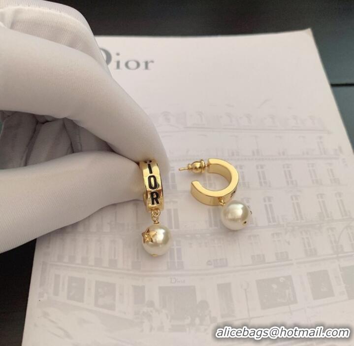 Popular Style Dior Earrings CE9442