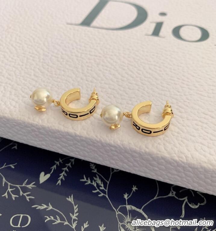 Popular Style Dior Earrings CE9442