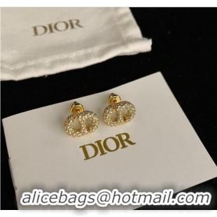 Most Popular Dior Earrings CE9443