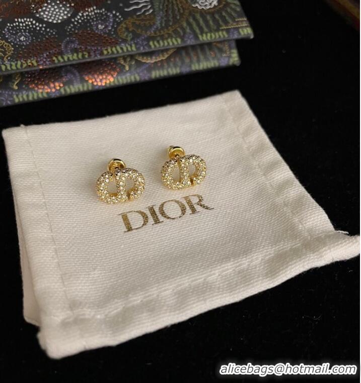 Most Popular Dior Earrings CE9443