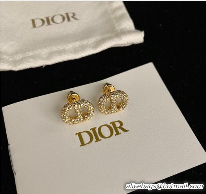 Most Popular Dior Earrings CE9443