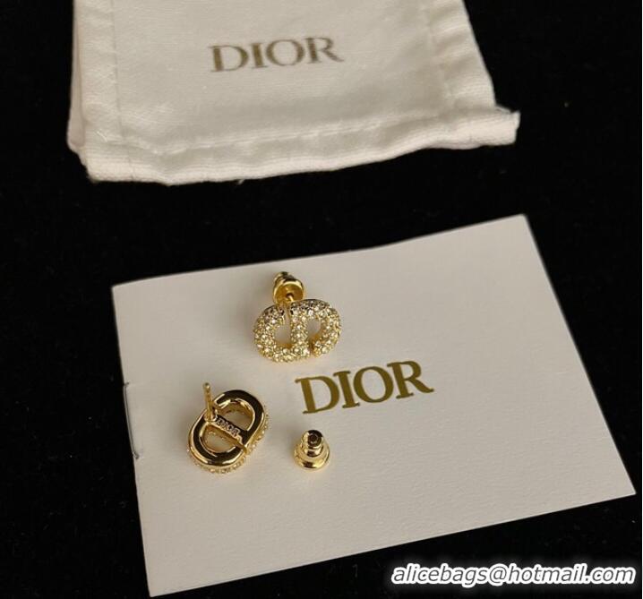 Most Popular Dior Earrings CE9443