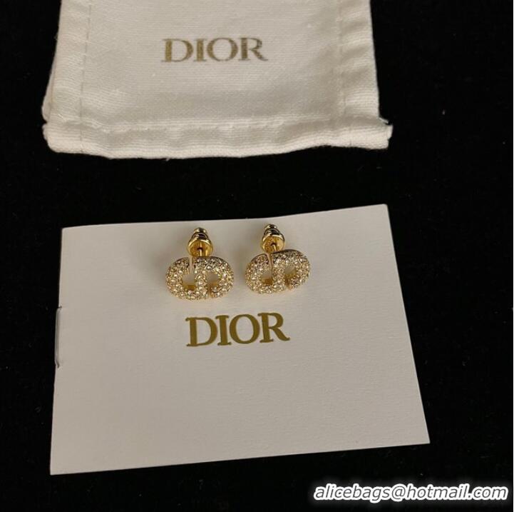 Most Popular Dior Earrings CE9443