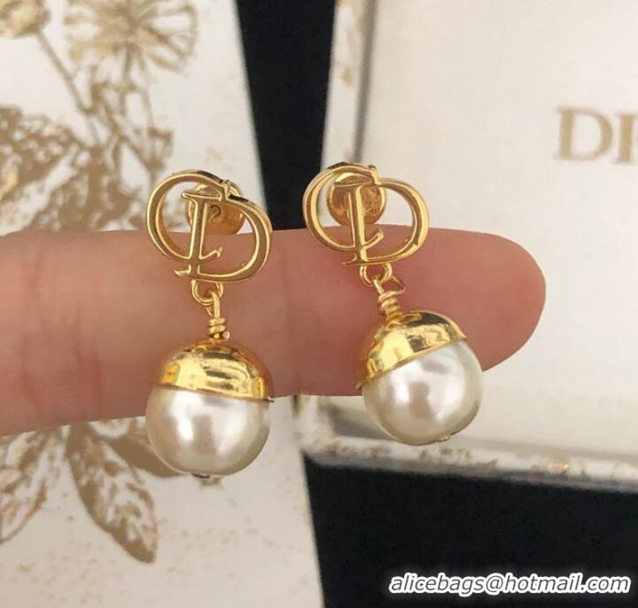 Popular Style Dior Earrings CE9446