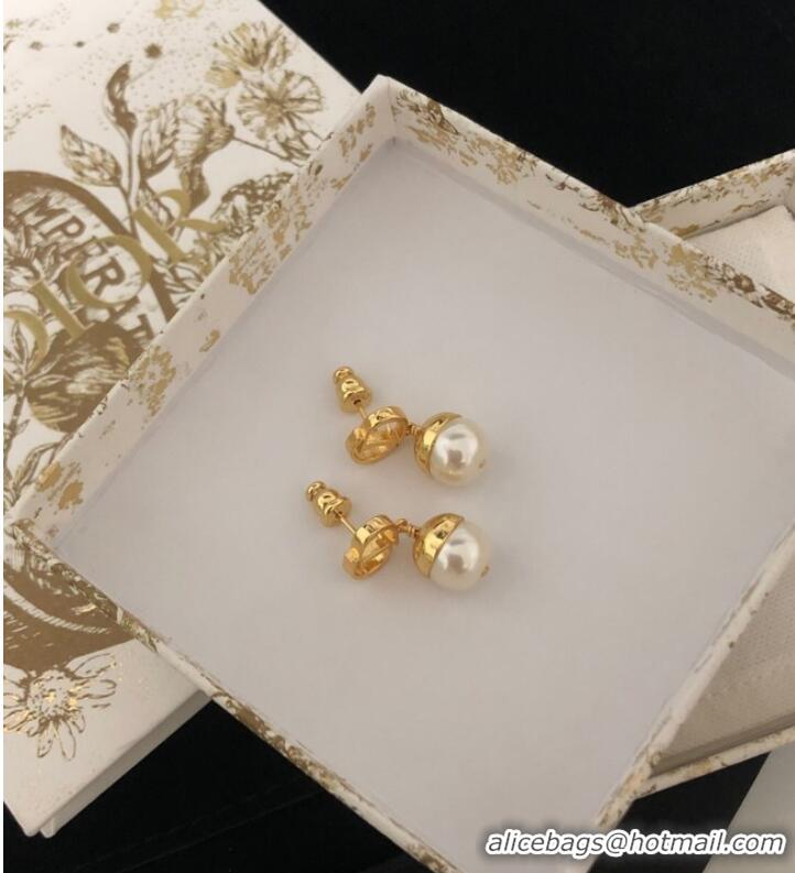 Popular Style Dior Earrings CE9446