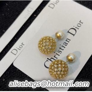 Top Design Classic Dior Earrings CE9495