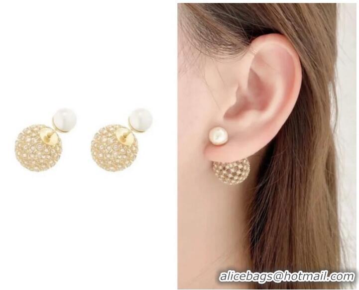 Top Design Classic Dior Earrings CE9495