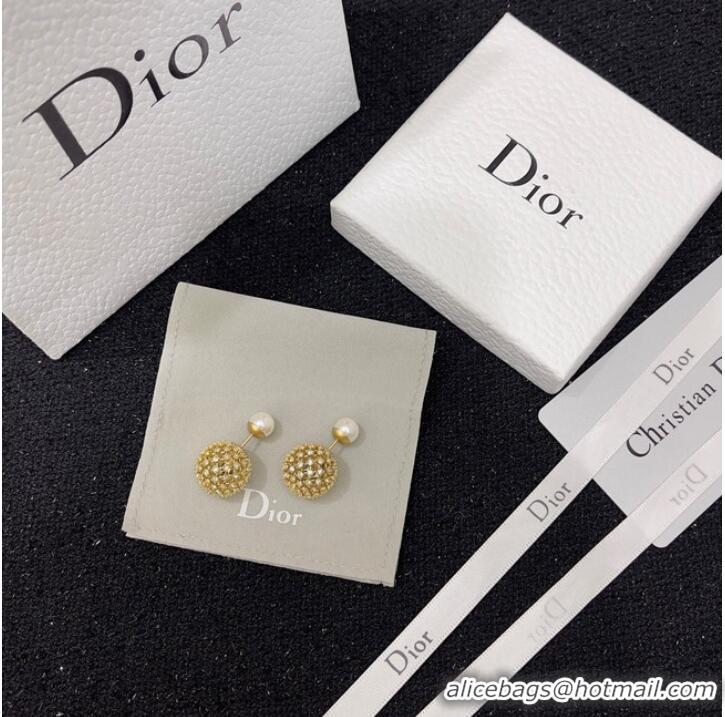 Top Design Classic Dior Earrings CE9495