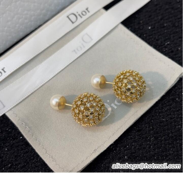 Top Design Classic Dior Earrings CE9495