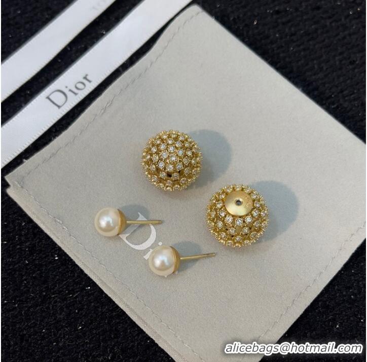 Top Design Classic Dior Earrings CE9495