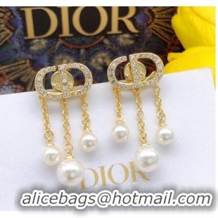 Hot Style Dior Earrings CE9503