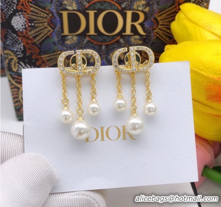 Hot Style Dior Earrings CE9503