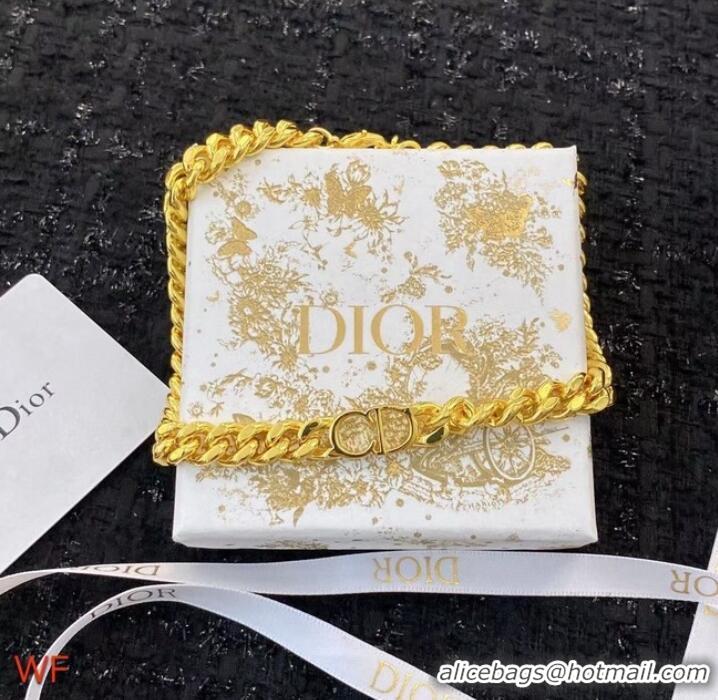 Buy Classic AAAAA Dior Necklace CE9644