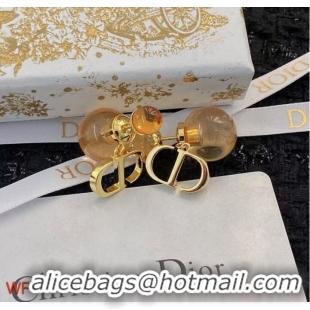 Fashion Promotional Dior Earrings CE9820