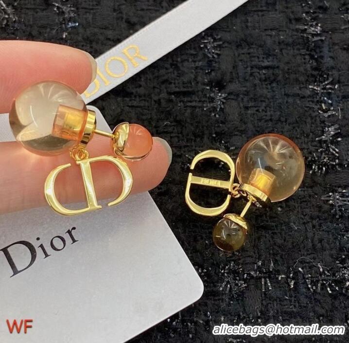 Fashion Promotional Dior Earrings CE9820