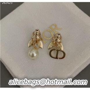 Good Product Chic Dior Earrings CE9821