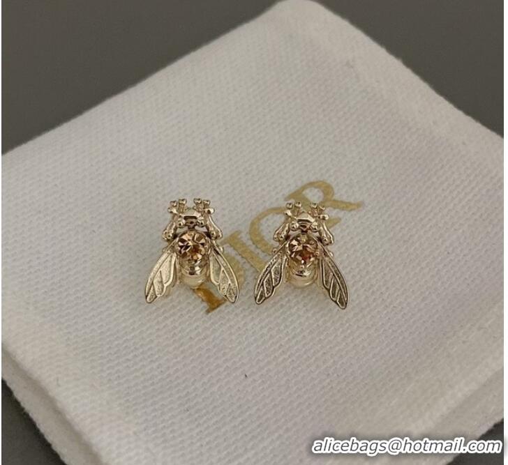 Good Product Chic Dior Earrings CE9821