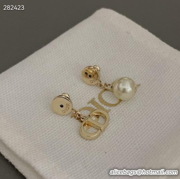 Good Product Chic Dior Earrings CE9821