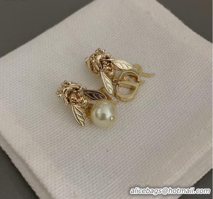 Good Product Chic Dior Earrings CE9821