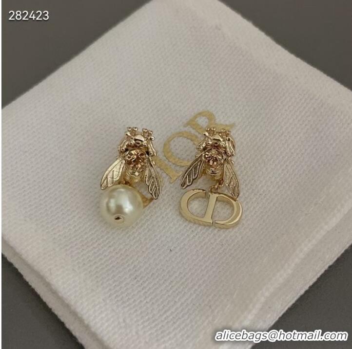 Good Product Chic Dior Earrings CE9821