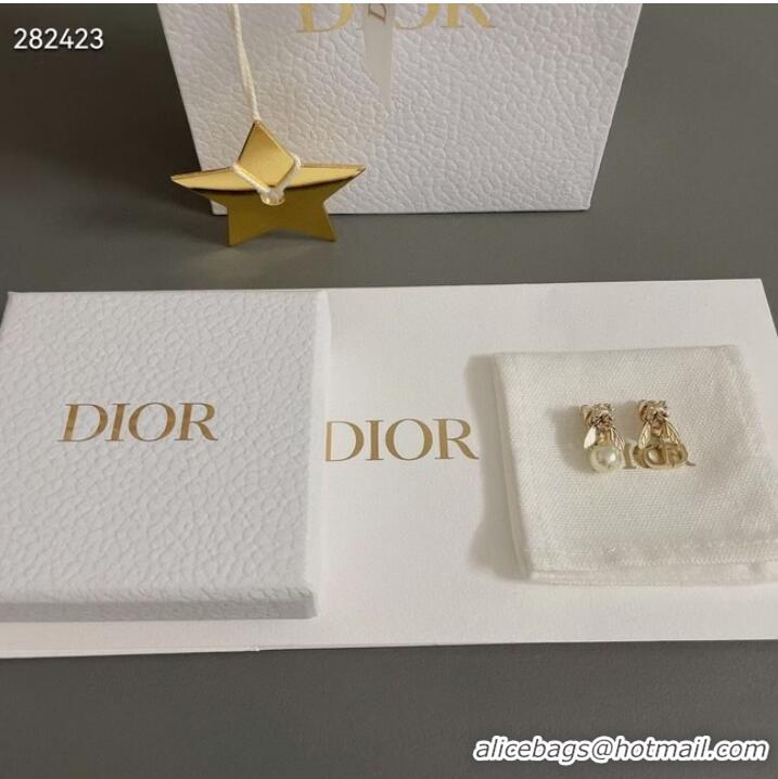 Good Product Chic Dior Earrings CE9821