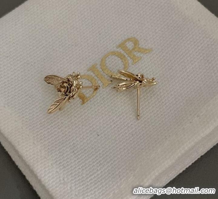 Good Product Chic Dior Earrings CE9821