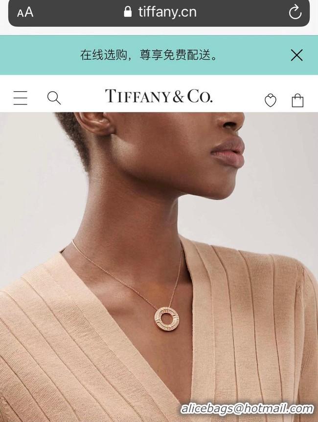 Luxury TIFFANY Necklace CE8571