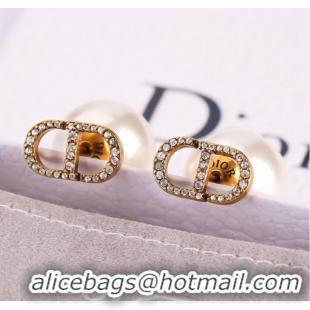 Famous Brand Dior Earrings CE9865