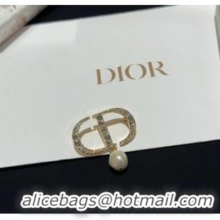 Fashion Show Collections Dior Brooch CE9867