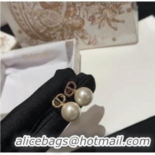 Traditional Specials Dior Earrings CE9869