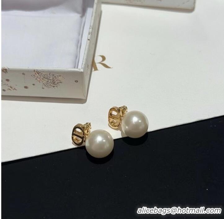 Traditional Specials Dior Earrings CE9869