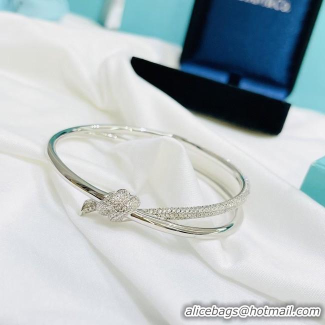 Expensive TIFFANY Bracelet CE9000