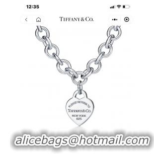 Top Grade TIFFANY Necklace CE9064