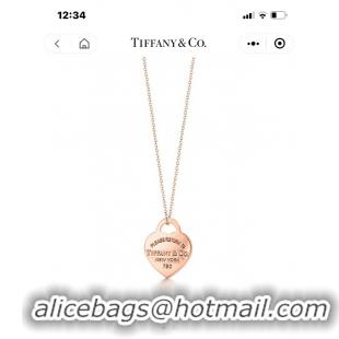 Unique Style TIFFANY Necklace CE9065