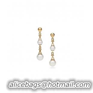 Sophisticated TIFFANY Earrings CE9615