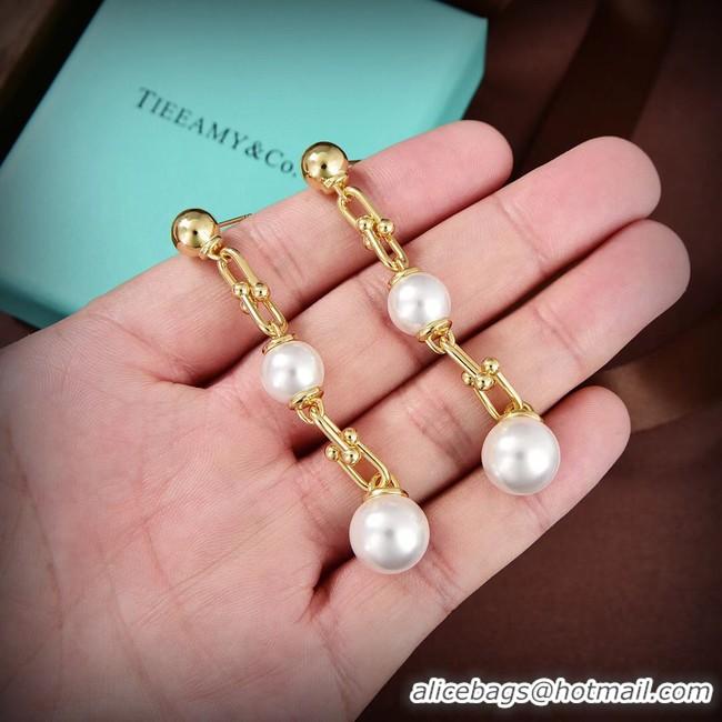 Sophisticated TIFFANY Earrings CE9615