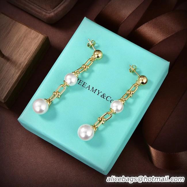 Sophisticated TIFFANY Earrings CE9615