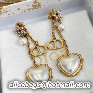 Luxury Dior Earrings CE7992