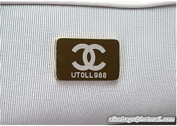 Reasonable Price CHANEL 19 HANDBAG Cotton Tweed AS1161 white