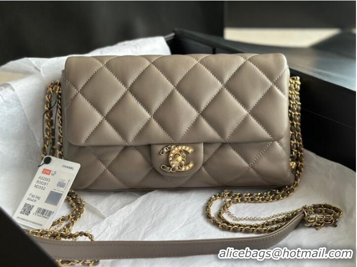 Reasonable Price CHANEL FLAP BAG Lambskin & Gold-Tone Metal AS2563 gray