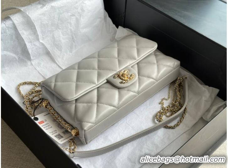 Famous Brand CHANEL FLAP BAG Lambskin & Gold-Tone Metal AS2563 light gray