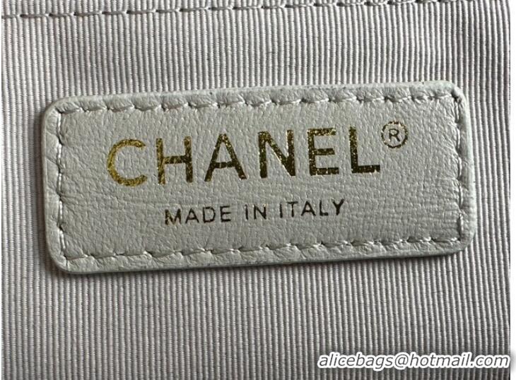 Famous Brand CHANEL FLAP BAG Lambskin & Gold-Tone Metal AS2563 light gray