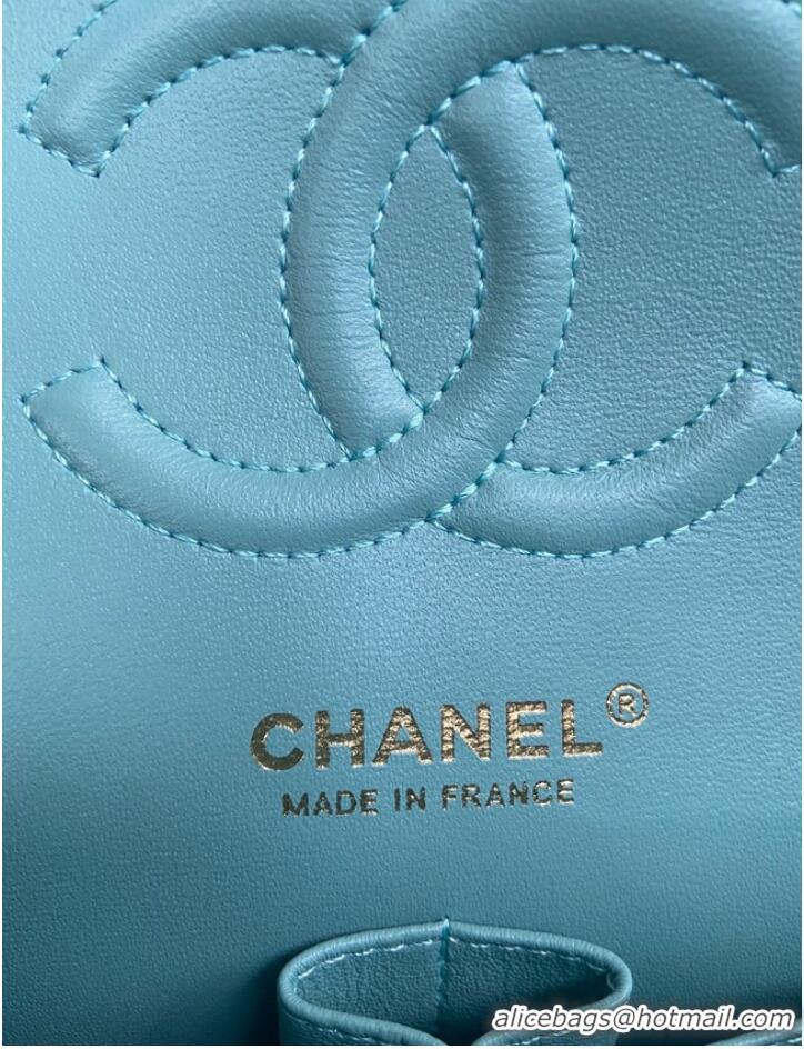 Famous Brand Chanel CLASSIC HANDBAG A01112-10