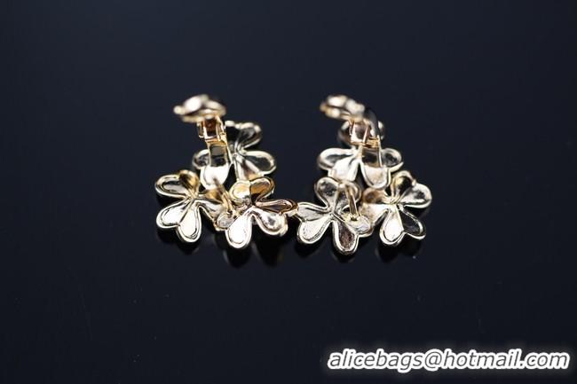 Good Quality Louis Vuitton Earrings CE9029