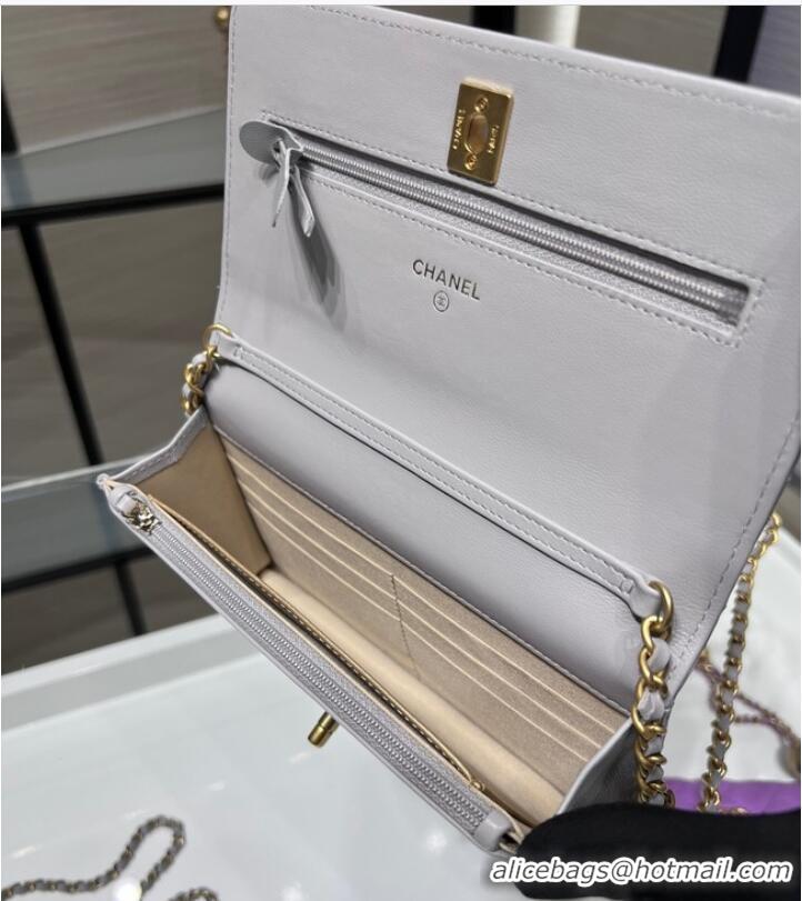 Well Crafted CHANEL WALLET ON CHAIN AP1450 light gray